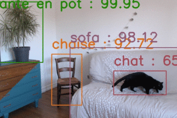 Utilisation de Mobilenet pour analyser une vidéo