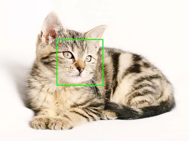 Application des cascade avec OpenCV: détection de chat à partir de frontalcatface
